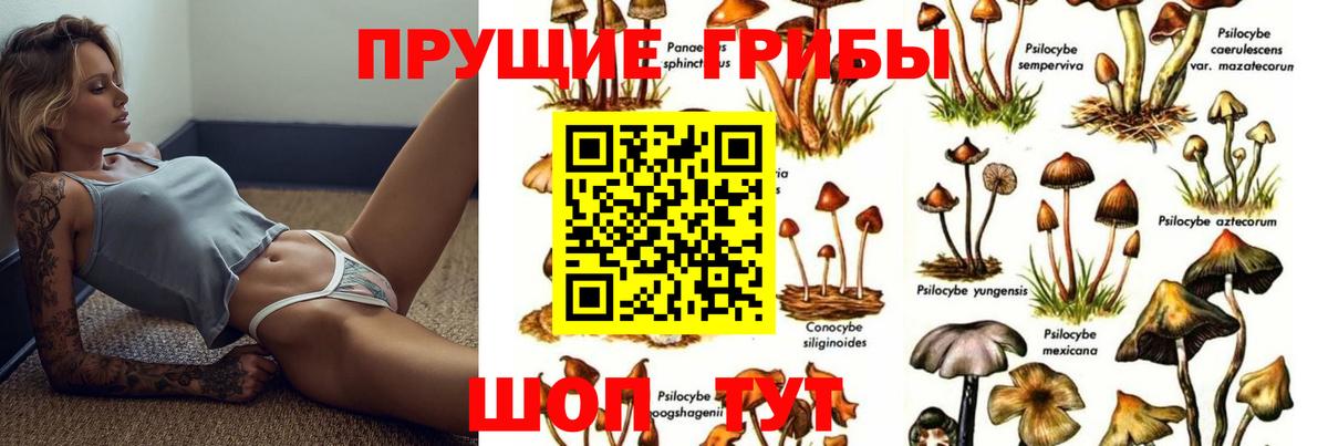 Гулькевичи  Галлюциногенные грибы мицелий  цена   Галлюциногенные грибы мухоморы  Вход с VPN 