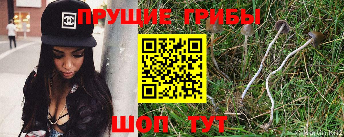 Галлюциногенные грибы прущие грибы Гулькевичи